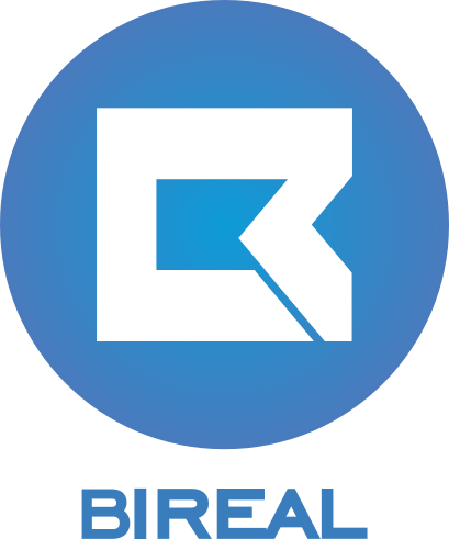 Bireal Systems Logo